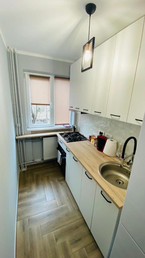 טימישוארה Dacia Apartment מראה חיצוני תמונה