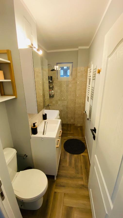 טימישוארה Dacia Apartment מראה חיצוני תמונה