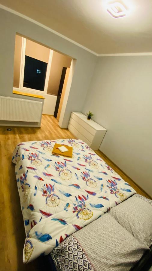טימישוארה Dacia Apartment מראה חיצוני תמונה